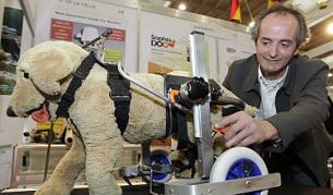 Решение за кученца с травми