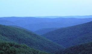 Фестивал на зелениката в Странджа