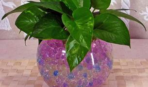 КЗП изтегля от пазара опасна екопочва