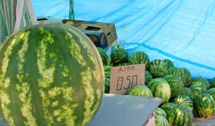 Не можело дини за по 2 стотинки