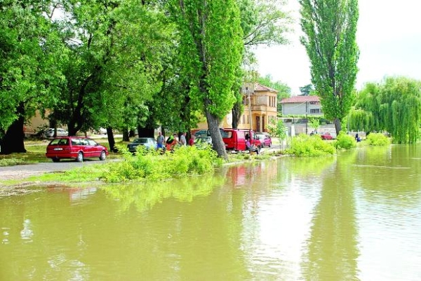 Дунав вече залива Лом