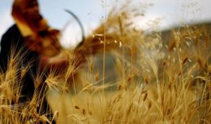 Чака ли ни нова продоволствена криза?