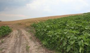 Евростат извършва задължителна актуализация на данните за всяка държава член на ЕС на всеки десет години