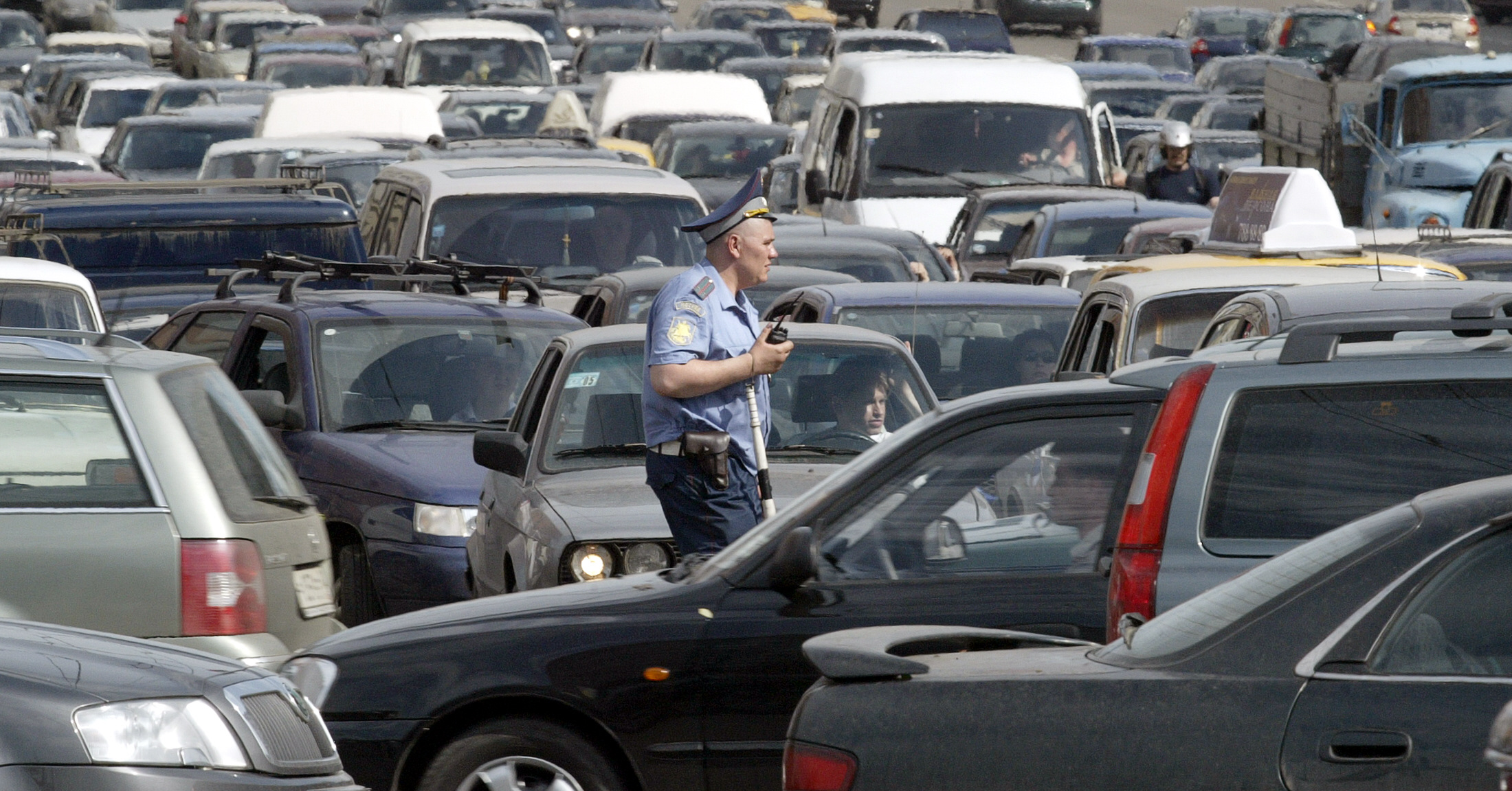 Зебри по пътищата в Москва