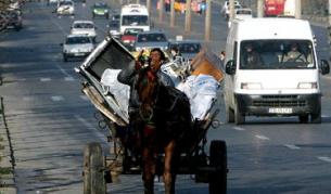 Каруците често са управлявани от малолетни или от възрастни в нетрезво състояние
