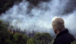 Саденето на дървета - най-висш акт на ционизъм 