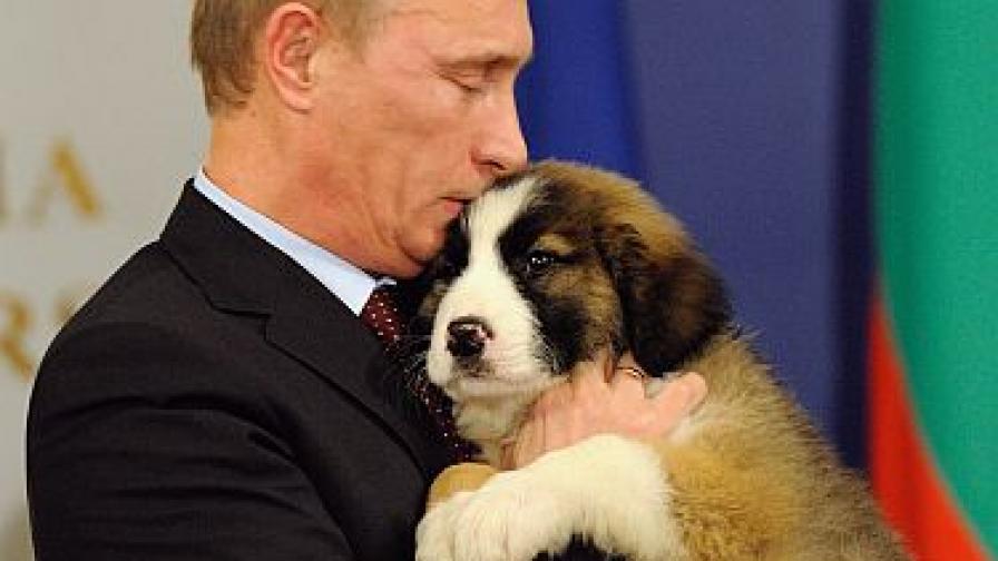 Путин кръсти кученцето Йорго с името Бафи