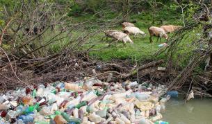 Пластмасовите опаковки, като бутилките - по-тежък проблем