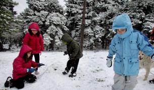 Операция "Сополанковците" 