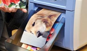 Кожа и органи - скоро от принтер