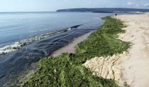Българските плажове - изцяло в нормите на ЕС