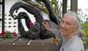 Джейн Гудол