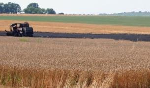 Качествена пшеница ожънаха в Добруджа