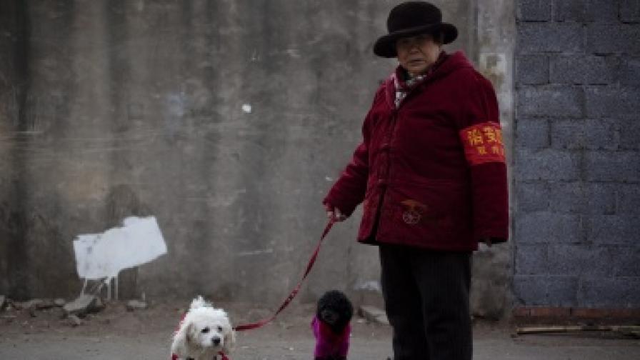 Китайска инициатива: Без кучета в града