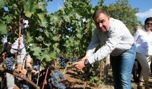 Найденов: Много качествено грозде тази година