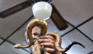 "Непорочно" зачатие чрез складиране на семе в утробата дава надежда и на хората