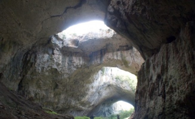Проверка: Прилепите в Деветашката пещера са намалели