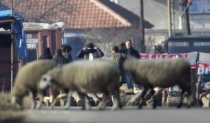 Сърбите от Северно Косово продължават да издигат барикади на граничните пунктове и пропускат само овце
