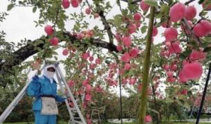 Български работник, нает във Великобритания