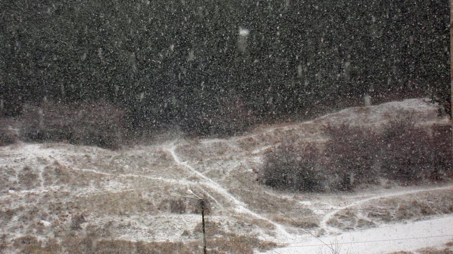 Обилен сняг в Североизточна България