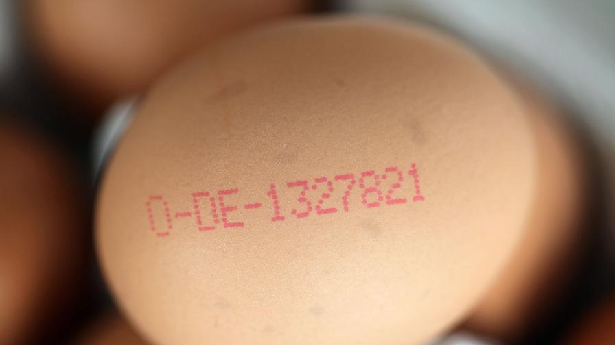51 млн. кокошки в ЕС ще снасят "нелегално" яйца
