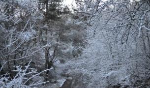 ЕВН: Вече няма места в Родопите без електрозахранване 