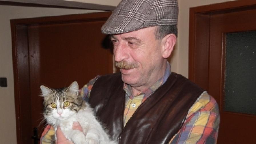Български огнеборци в акция по спасяване на котка