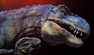 Древните бълхи са нападали дори динозаври