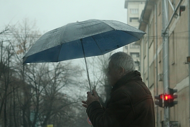 Силният вятър днес събори 12-метрова топола