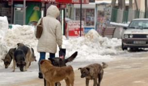 Фандъкова: Да отпадне текстът за кучета "под надзор"