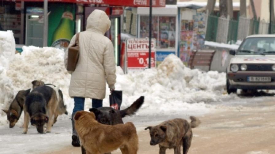 Фандъкова: Да отпадне текстът за кучета "под надзор"
