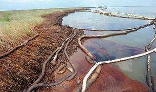 Разливът е най-голямата екологична катастрофа с петрол в историята на САЩ