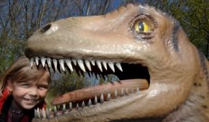 Енергийните напитки рушат зъбите още след петия ден консумация