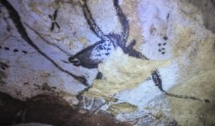 Най-древните скални рисунки - в пещерата Шове 