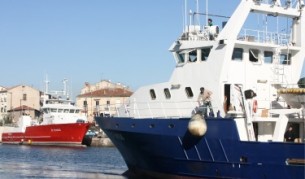 Радиоактивна риба от Фукушима доплува до САЩ