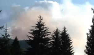 Еколог: Пожарът оставя гората мъртва за дълго време