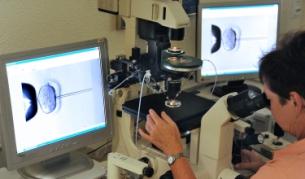 Тази снимка от юли 2011 г. показва инвитро оплождане в Kinderwunschzentrum в Лайпциг, Германия