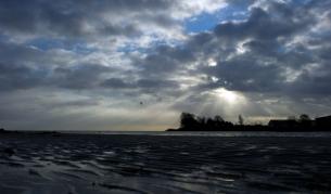 Неочаквана поява на група бактерии в Северна Европа