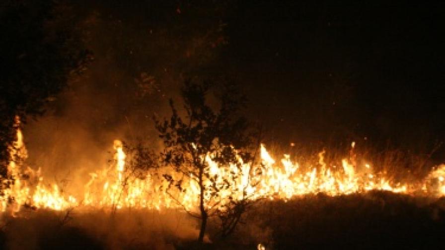 Втори ден гасят пожара в Сакар планина 
