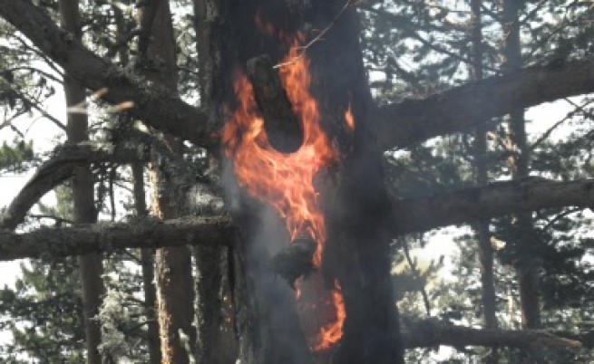 Младеж обгоря при пожара в село Бабяк