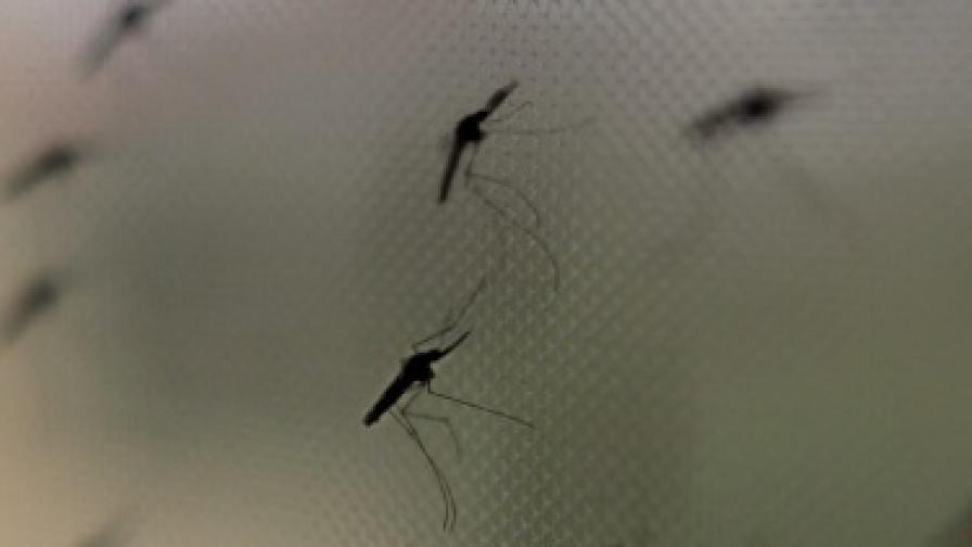 Маларията заплашва да се завърне в Гърция 