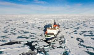 Арктическият морски лед с рекордно ниско ниво