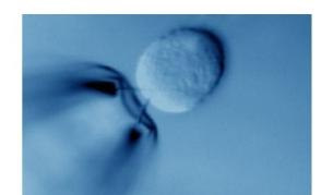 Учени създадоха кибер тъкан