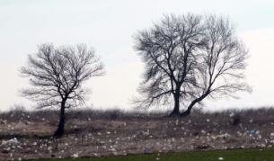 Някога ще настъпи ли краят на такива ужасни гледки?...