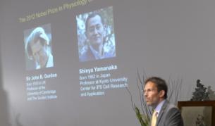 Двама с Нобел за изследвания на стволовите клетки