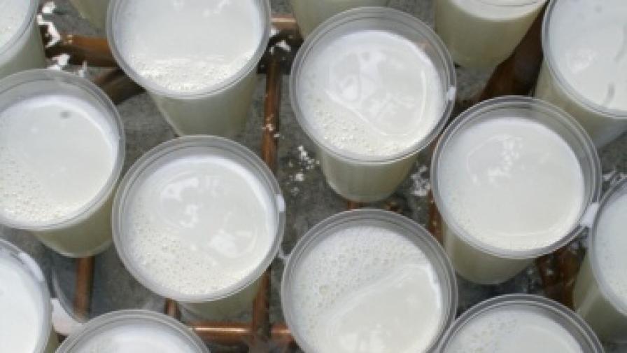 Откриха опасен токсин в млякото в още пет села