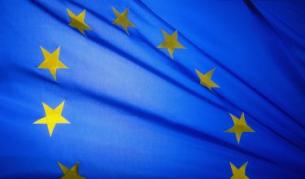 Ще проверят дали е нормална жена, която наряза знамето на ЕС