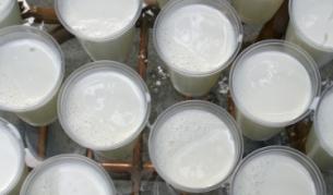 Пиенето на мляко помага за грабването на Нобелова награда