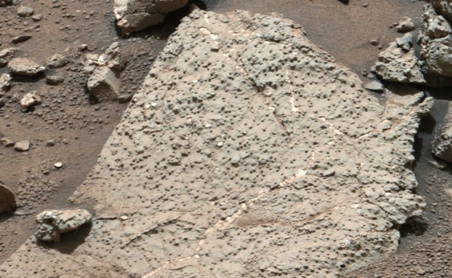 Може да съществуват примитивни форми на живот на Марс