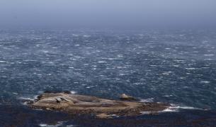 Откриха екосистема в земната кора под океана